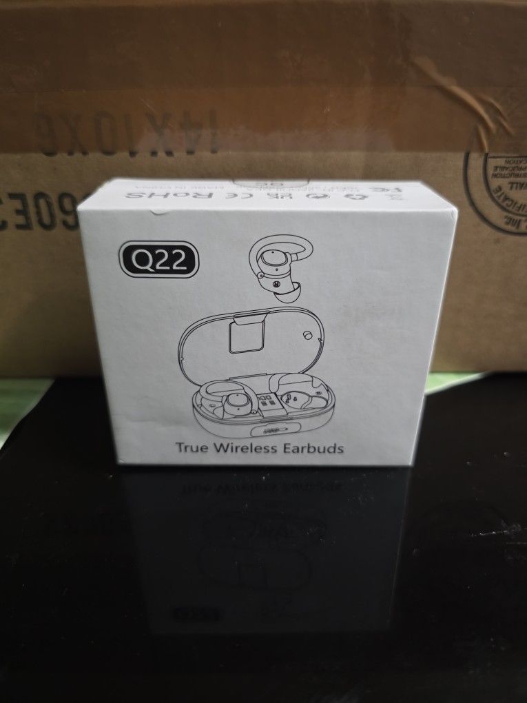 Q22 True Wireless Earbuds