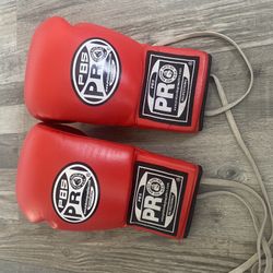 Pro Boxing Supply Boxing 🥊 Gloves 