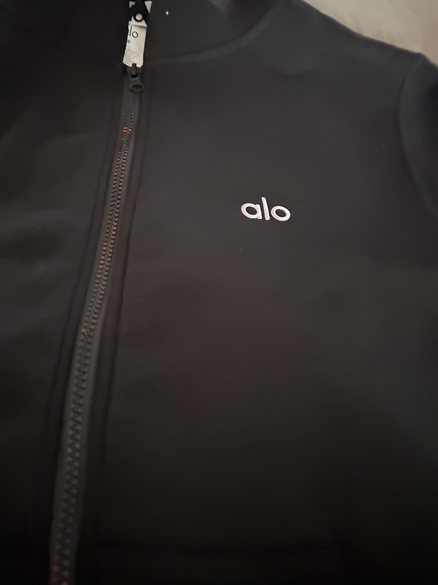 alo hoodie get it asap
