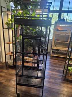 61" Cockatiel Cage, Flight Cage with Rolling Stand, Play Top & Bowls - Metal Large Bird Cages for Parakeets, Conures, Parrots