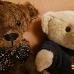 2 Vintage Teddy Bears 