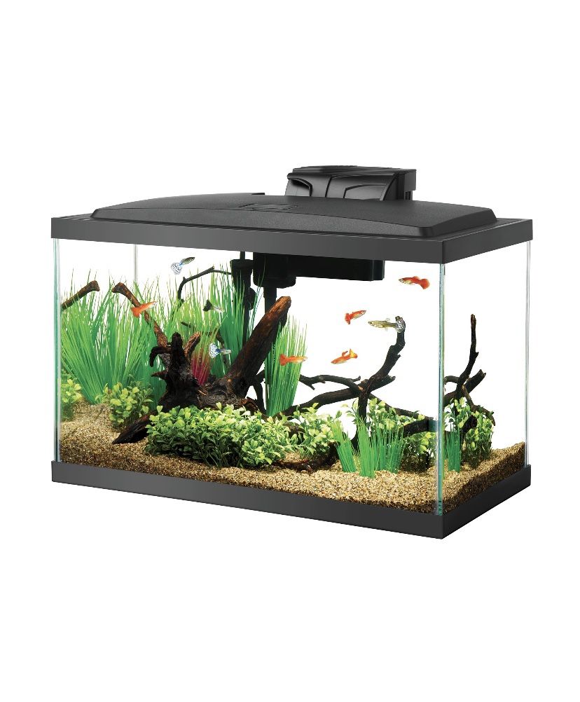 Aqueon LED Black, Fish Tank 10 Gallons