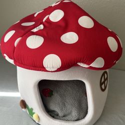 Mushroom cat house with blanket