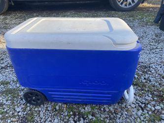 Igloo Cooler