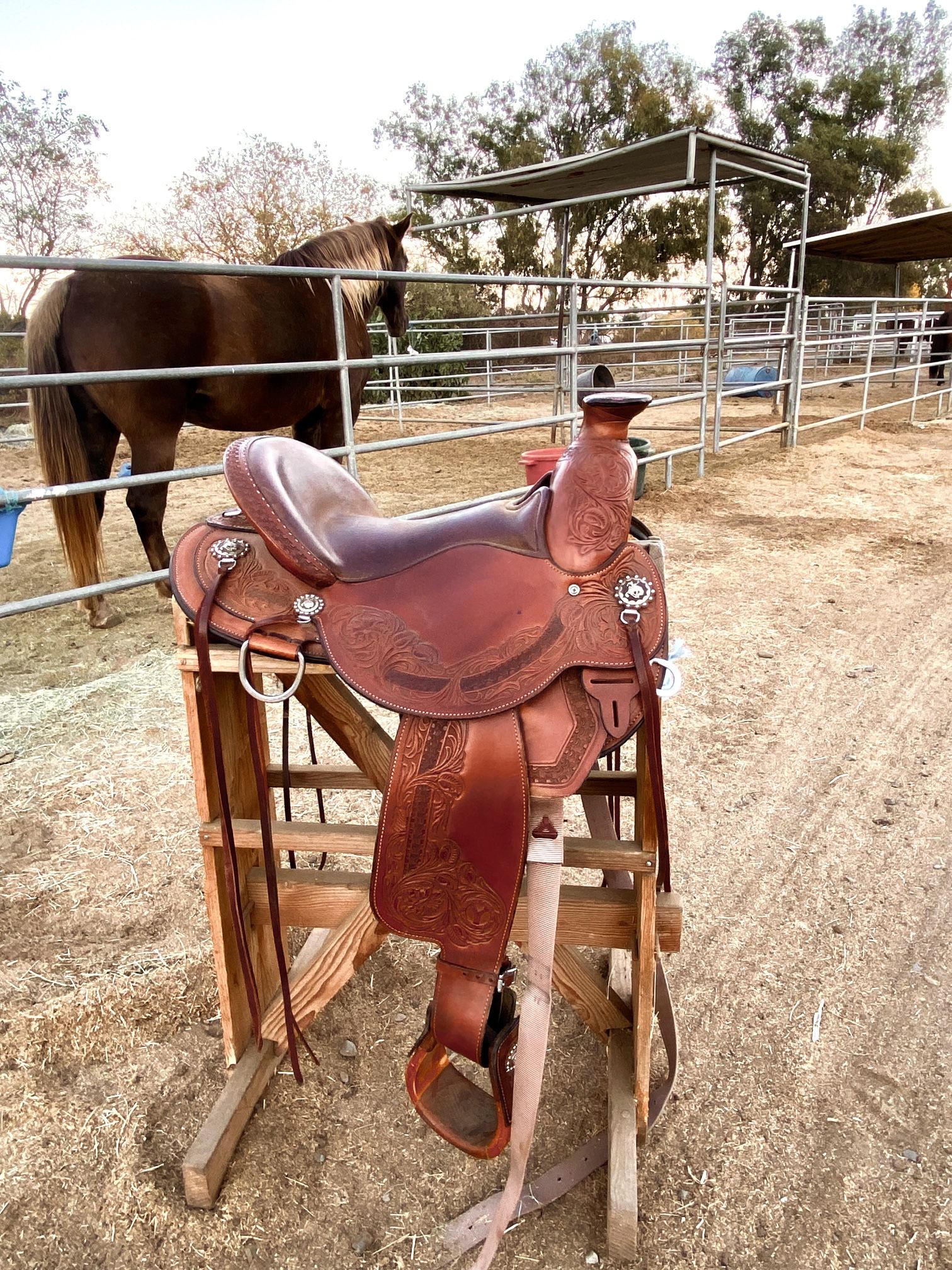 Circle Y Walnut Grove Western Saddle 16"