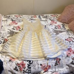 Champagne/Gold Dress