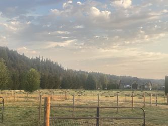 Local Hay For Sale