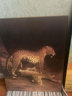 Framed Leopard Wildlife Art – 24” × 30