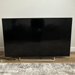 Sony 48” TV