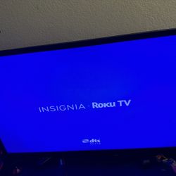 32 Inch Insignia Roku Tv 