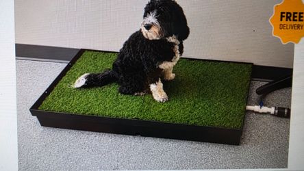 Canine kennel store potty station