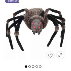 Giant Spider