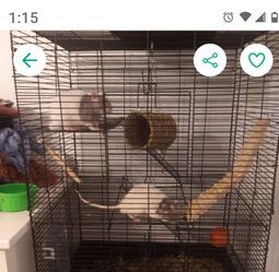 Cage (Used For Rats)