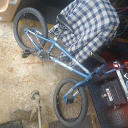 20 Inch Bmx 