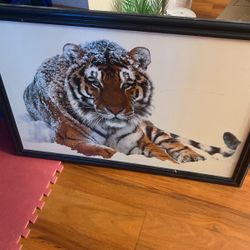 Lion Poster