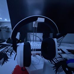 Turtle Beach Wireless Headset.