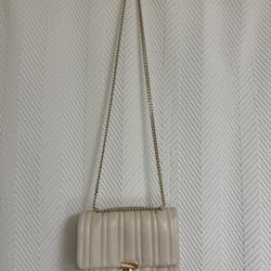 Cream Zara Purse With Gold Chain