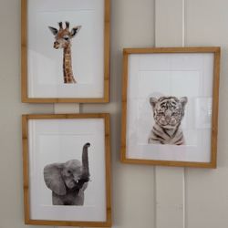 Framed Baby Animals For Nursery 