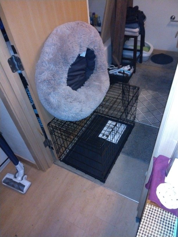 Dog Carrier & Sav Fox Calmer Bed
