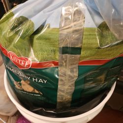 Bunny Cages And Food And Other Stuff