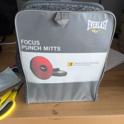 Focus Punch Mitts 