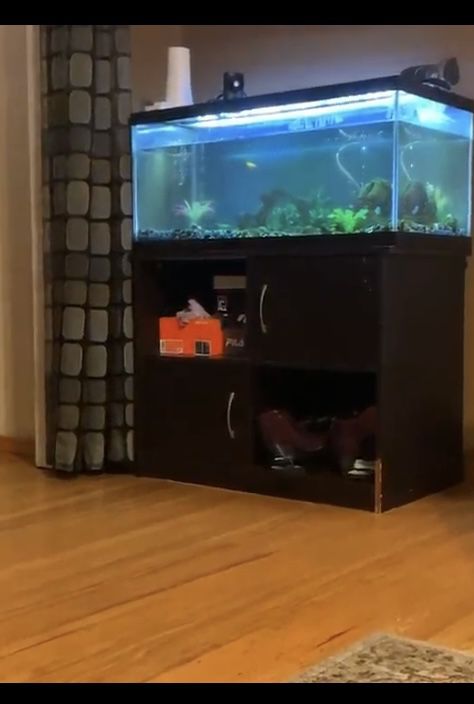 40 gallon fish tank with all accessories and stand cabinet
