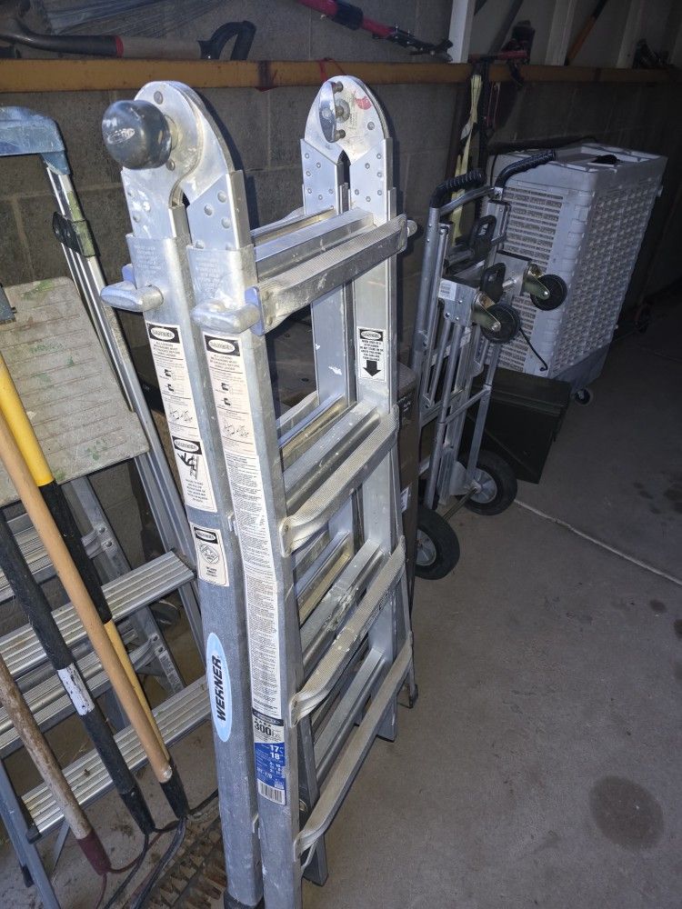 Werner Multi-Position Ladder