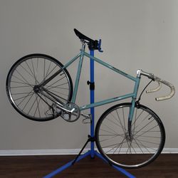 Bianchi Pista Via Condotti Single Speed Flip Flop Hub Fixed Gear Fixie Bicycle 