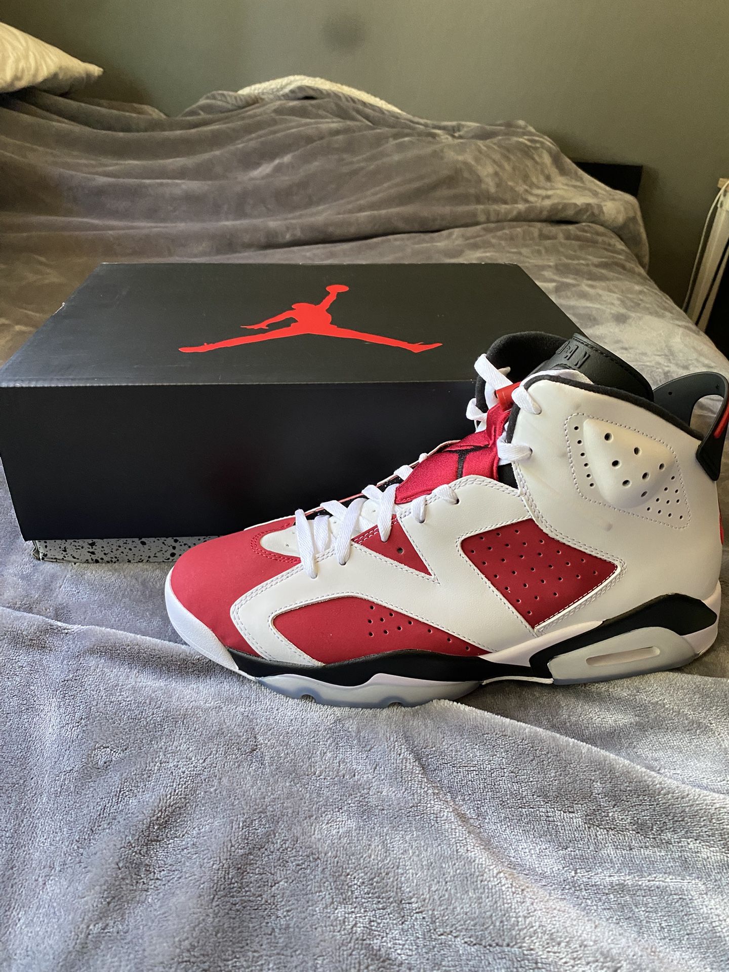 Jordan 6 “Carmines” Size 12