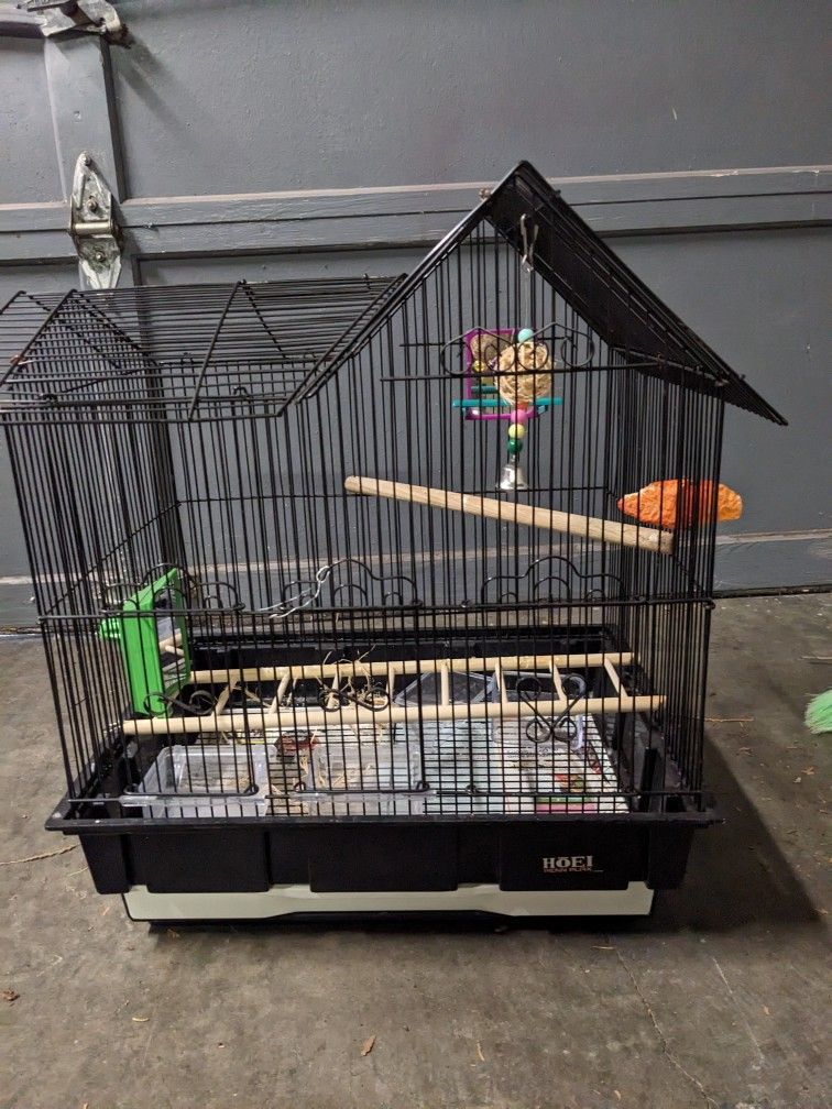 Bird Cage