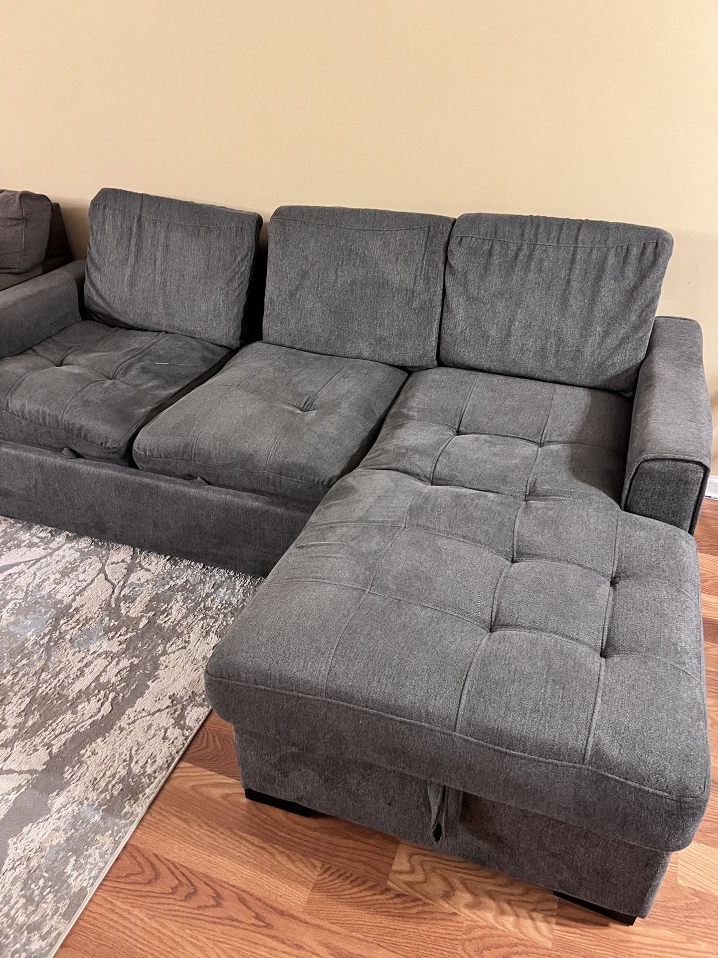 Sleeper Couch