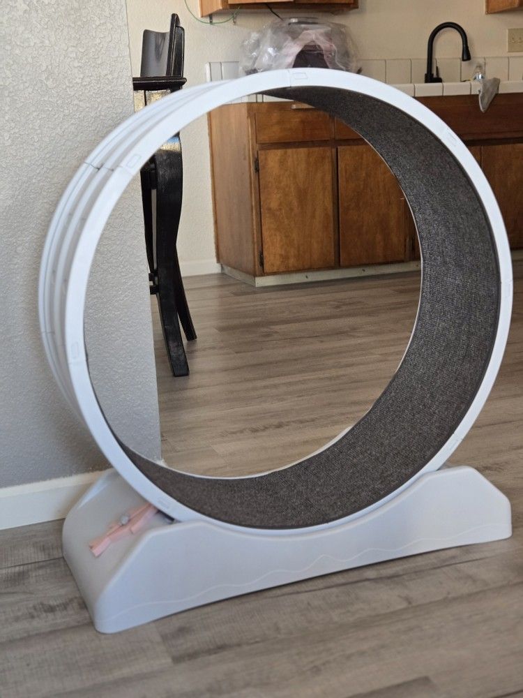 Cat Treadmill