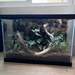 Bioactive Vivarium / Terrarium – 15.5 Gallon – Planted Tropical Setup