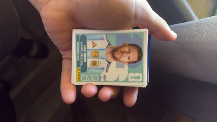 Panini
