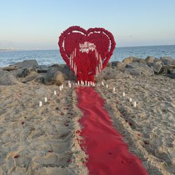 Heart Proposal 