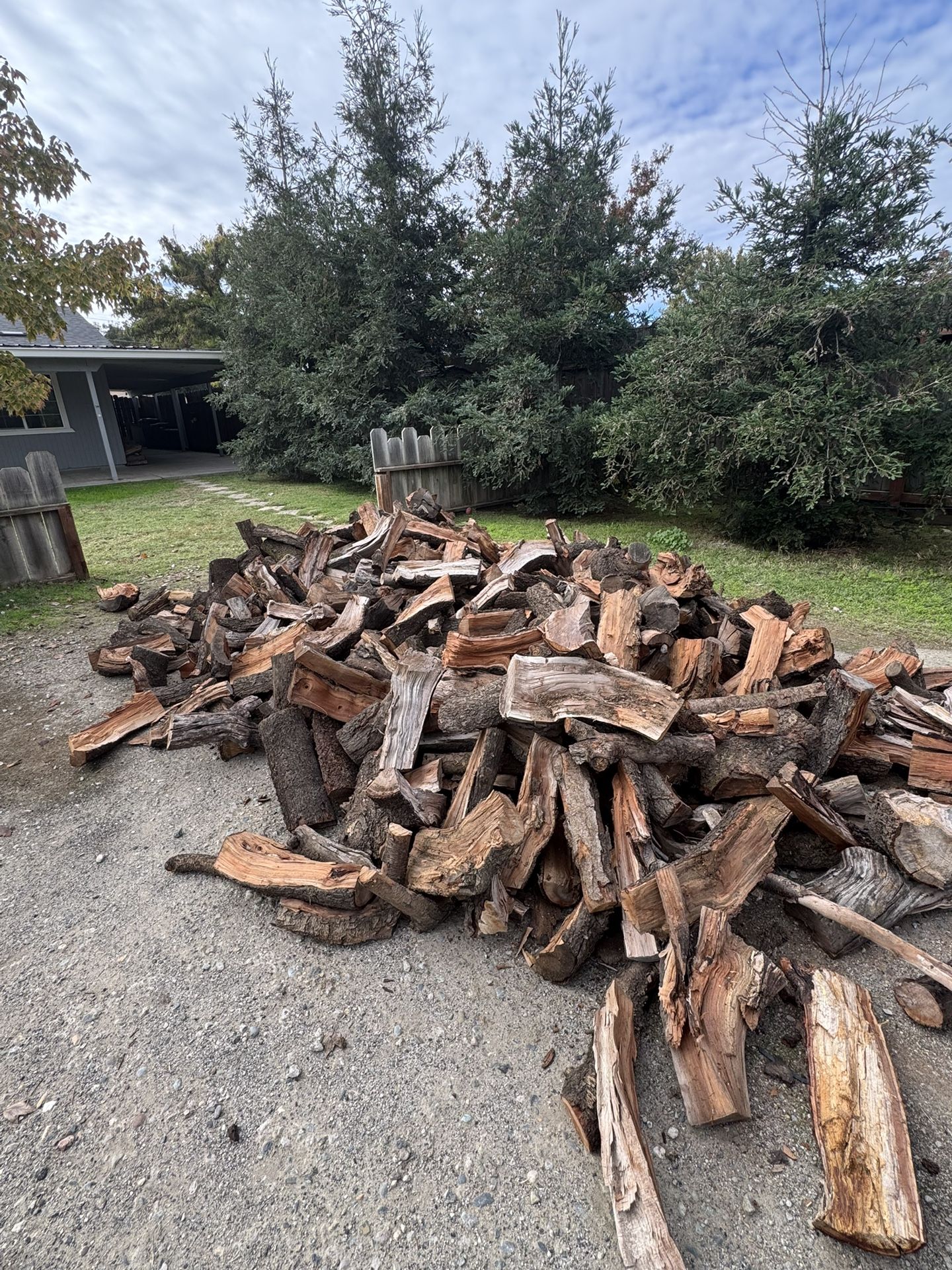 Split Almond Wood Ready to Burn