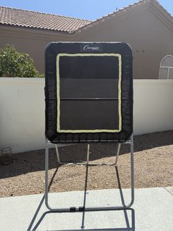 Lacrosse rebounded champion sports