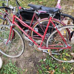 Schwinn Bike Vintage 2