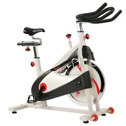 Like New Sunny Spin Bike Clip On Pedal Option Also Delivery Available 