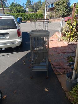 Bird Cage
