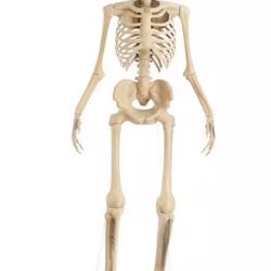 12 Ft Skeleton 