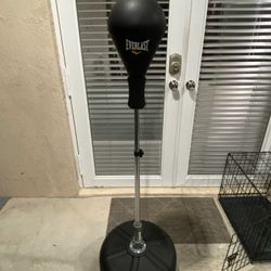 Punching Bag