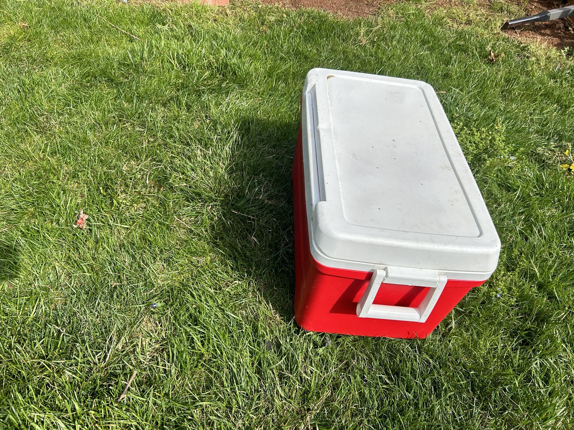 Brand New Igloo Cooler