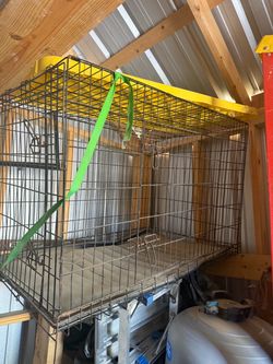 Dog cage