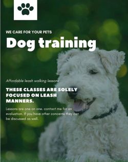 Dog Training Tools