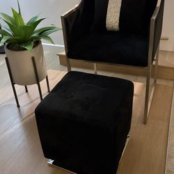Atara Back Velvet Silver Chair - Black