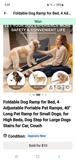 Dog Ramp for Small to Medium Dogs.  New!