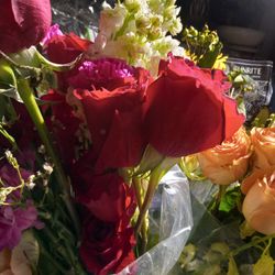 Roses 🌹  Long Stems Straight  From Florida