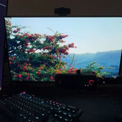 ASUS ROG STRIX 32’” OLED Monitor 4k 240hz 