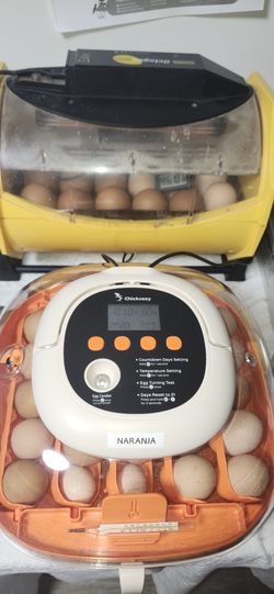 Use The Imagination Message For More Information